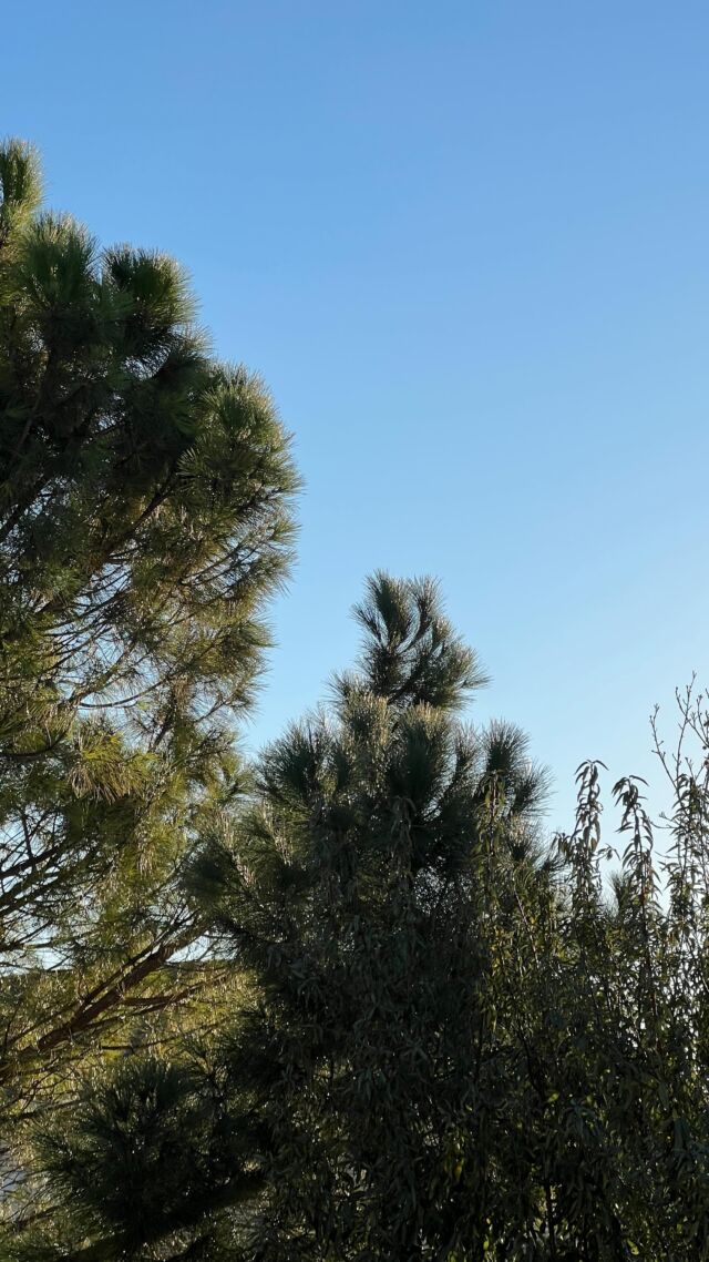 Fàbrica de cacaolat CAOBOY. Sant Boi de Lluçanès